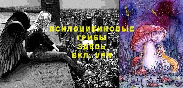 шишки Сатка