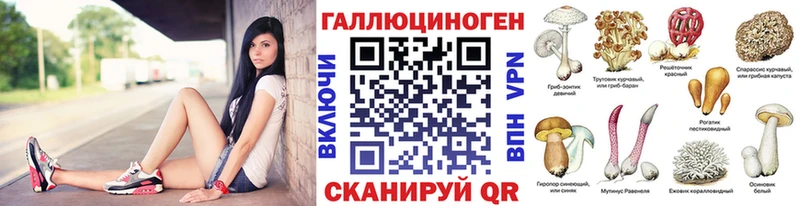 shop телеграм  магазин продажи   Апатиты  Галлюциногенные грибы Psilocybine cubensis 