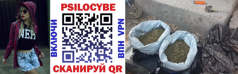 Галлюциногенные грибы мицелий Апатиты