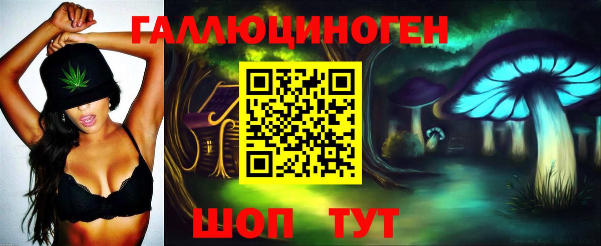 Апатиты  Псилоцибиновые грибы Cubensis  где купить наркотик  Вход с VPN 